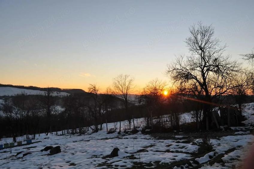Teren de 7000 mp, în Valea Iașului