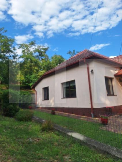 Casă individuală cu 3 camere cu Canalizare în Buziaș