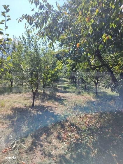 Casă cu 3 camere în Luna