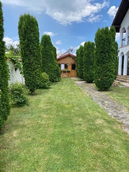 Casă individuală cu 7 camere cu Teren 2750 Mp în Mușcel