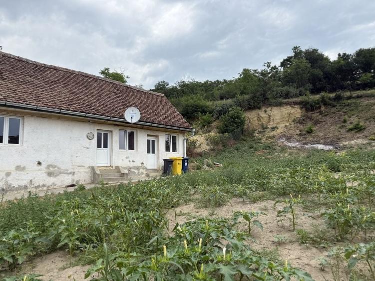 Casă cu 3 camere în Central