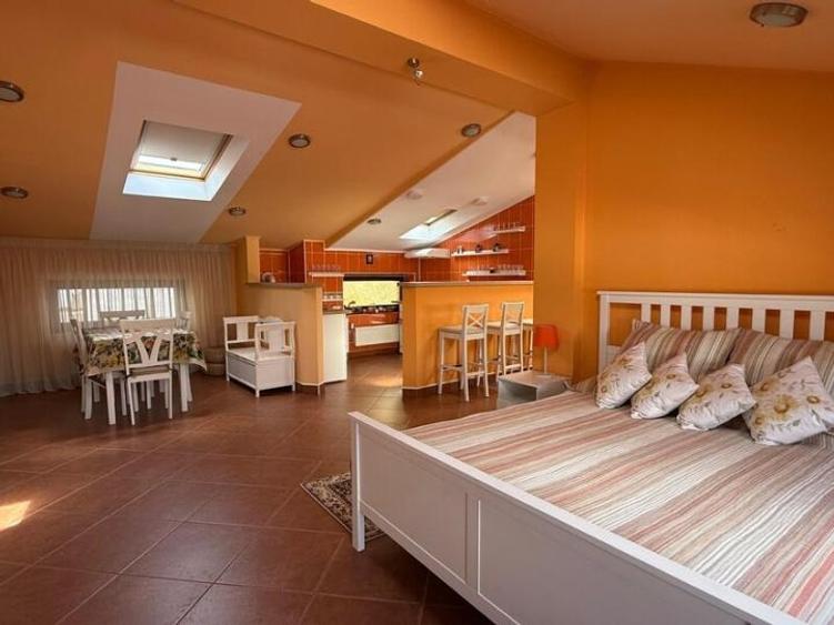 Studio Open Space de Lux | 65 mp. | Mansardă | Piața Dorobanți | Centrala | Lift - 9
