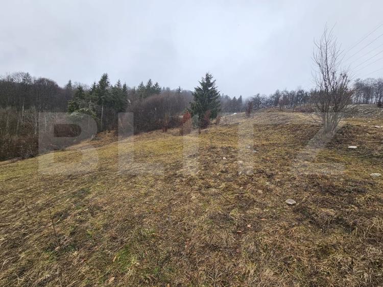 Teren Construcții extravilan de 7513 mp, în Dăroaia