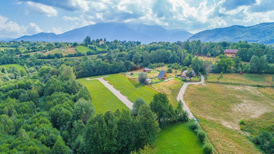 Teren Construcții intravilan de 500 mp, în Tohănița
