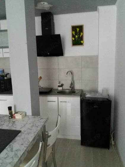 Apartament cu 2 camere nedecomandat în Poiana Țapului