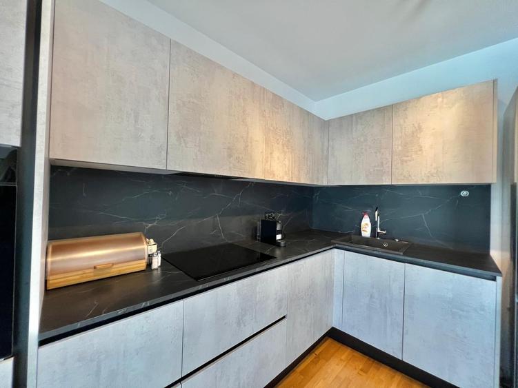 2 camere - BILCIURESTI, Aviatiei, Herastrau, Promenada - 8