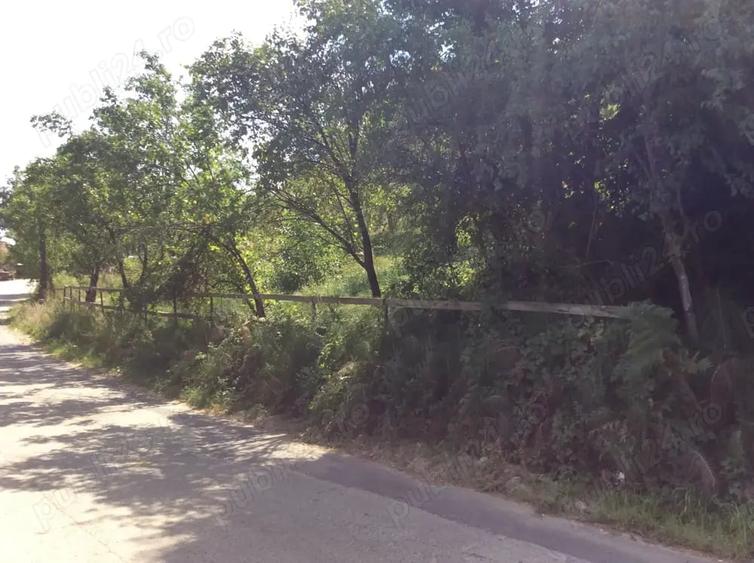 Teren de 887 mp, în Central