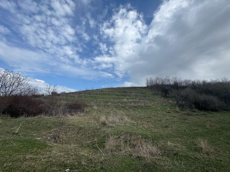 Teren agricol extravilan de 10233 mp, în Exterior Nord