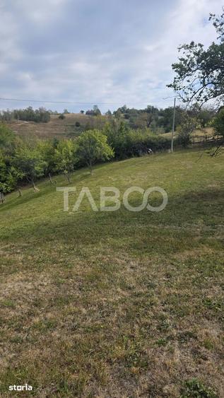 Teren de 8300 mp, în Săsciori
