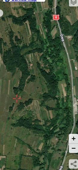 Teren de 60000 mp, în Cornea