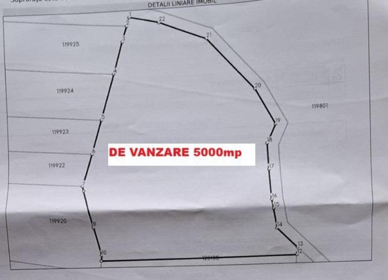Teren agricol extravilan de 5000 mp, în Păltiniș