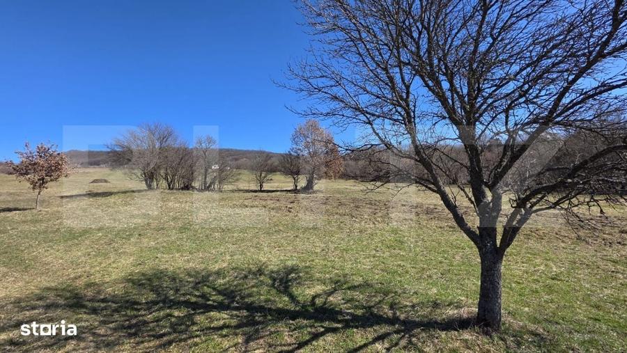 Teren de vanzare de 8,567MP in zona: Tarpiului - 6
