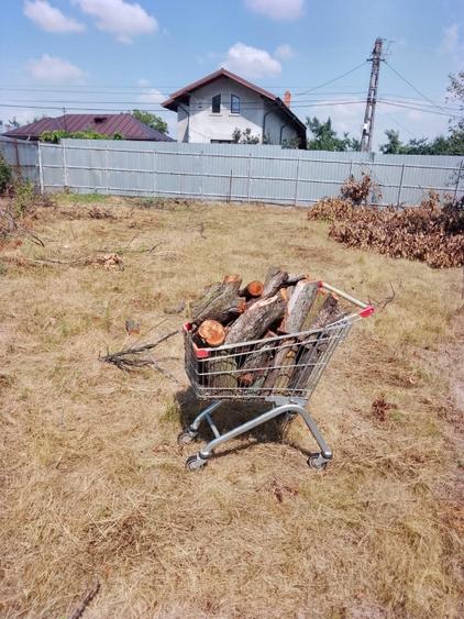 Teren Construcții intravilan de 939 mp, în Târgșoru Nou