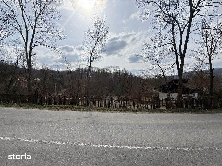 Teren de 2100 mp, în Provița de Jos