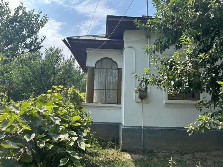 Casă individuală cu 4 camere cu Teren 923 Mp în Bujoru