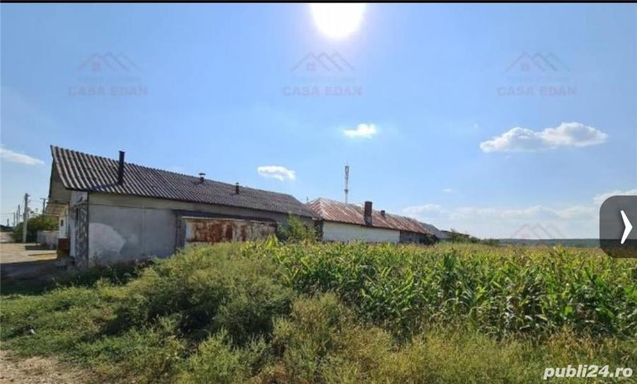Teren de 7444 mp, în Dărmănești