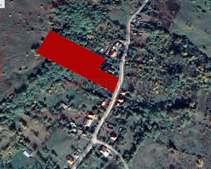Teren Construcții intravilan de 7280 mp, în Mihăești