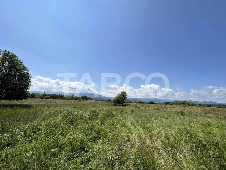 Teren Construcții intravilan de 5000 mp, în Turnișor
