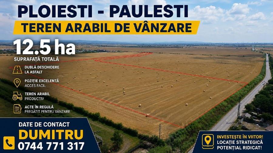 Teren agricol extravilan de 127000 mp, în Păulești