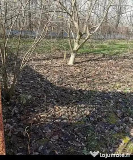 Teren în Braniște (Podari)