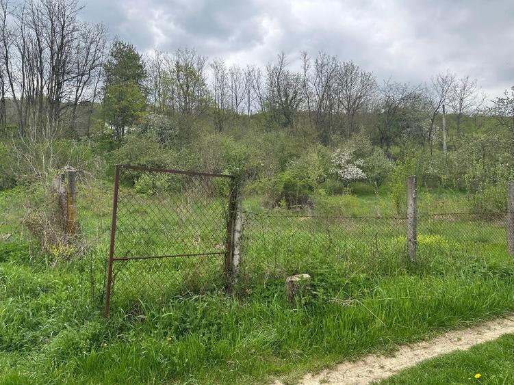Casă individuală cu 16 camere cu Teren 5000 Mp în Malu Vârtop