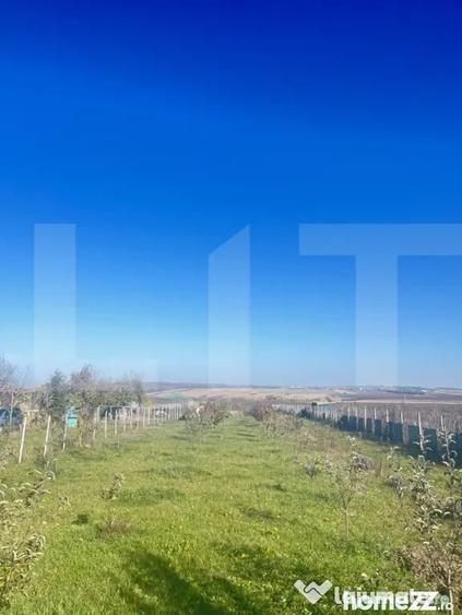 Teren de 5000 mp, în Orășeni-Vale