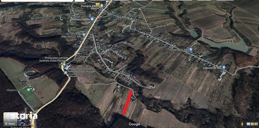Teren de 4870 mp, în Albota