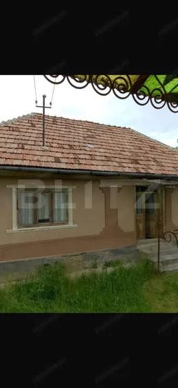 Casă cu 3 camere cu Teren 3000 Mp în Meseșenii de Sus