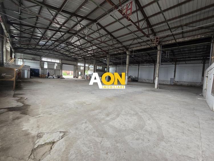 Spațiu industrial, de 900 mp, în Bărăbanț