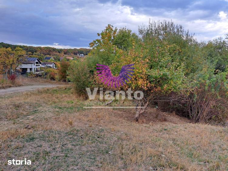 Teren de 1000 mp, în Central