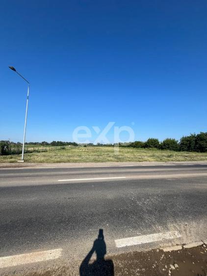 Teren intravilan premium 15.000 mp la DN61 langa Centura G - 5