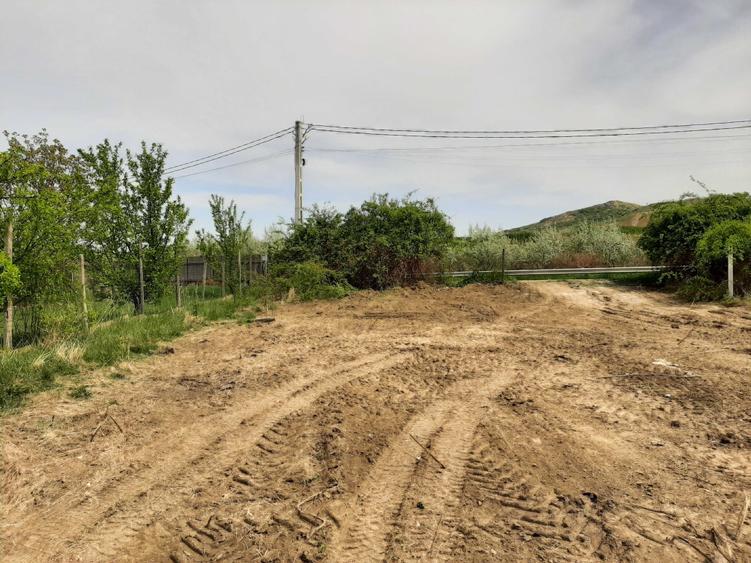Teren de 1480 mp, în Vlădiceni