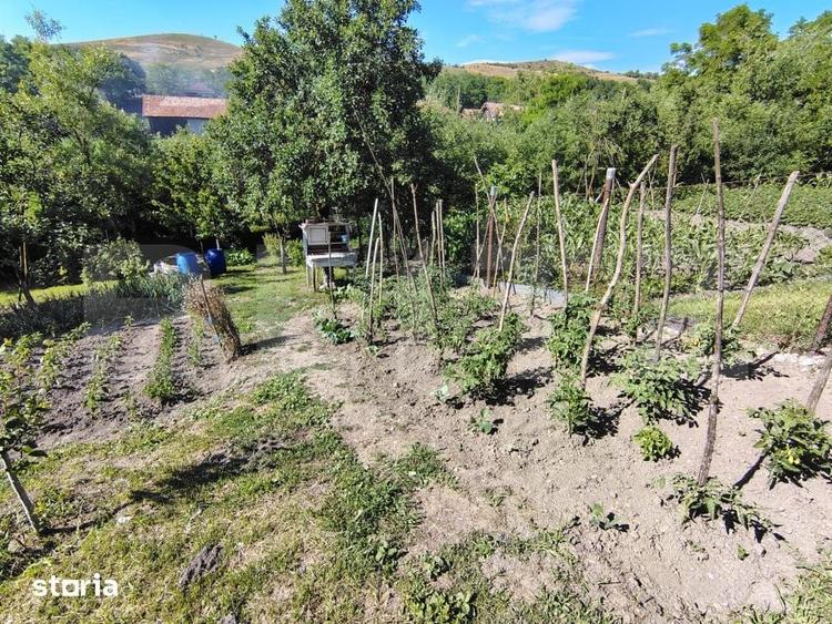 Casă cu 1 camere cu Teren 926 Mp în Jucu