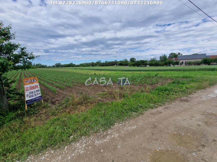 Teren Construcții intravilan de 7500 mp, în Bălești