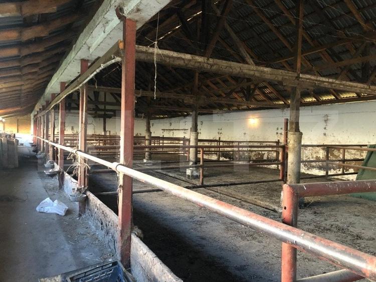 Spațiu industrial, de 2,000 mp, în Exterior Nord