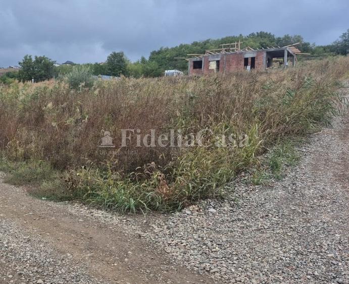 Teren de 750 mp, în Valea Lupului