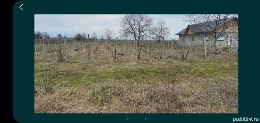 Teren de 1560 mp, în Central