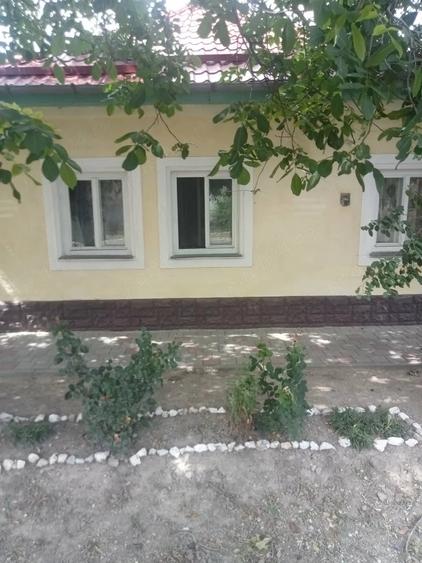 Casă cu Teren 1200 Mp în Central