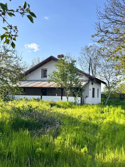 Casă individuală cu 5 camere cu Teren 3706 Mp în Butimanu