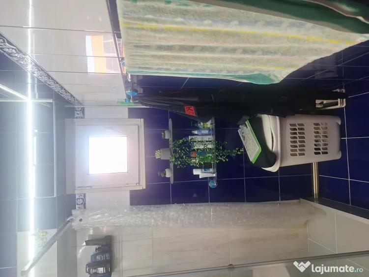 Apartament cu 2 camere decomandat în Turnișor