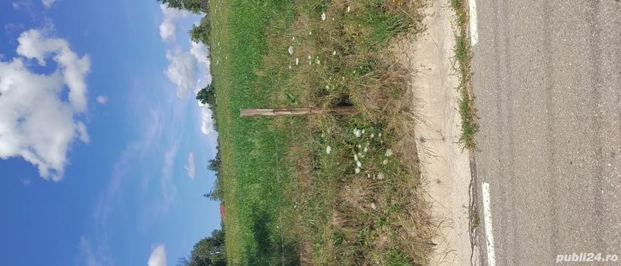 Teren de 2030 mp, în Rădăcinești