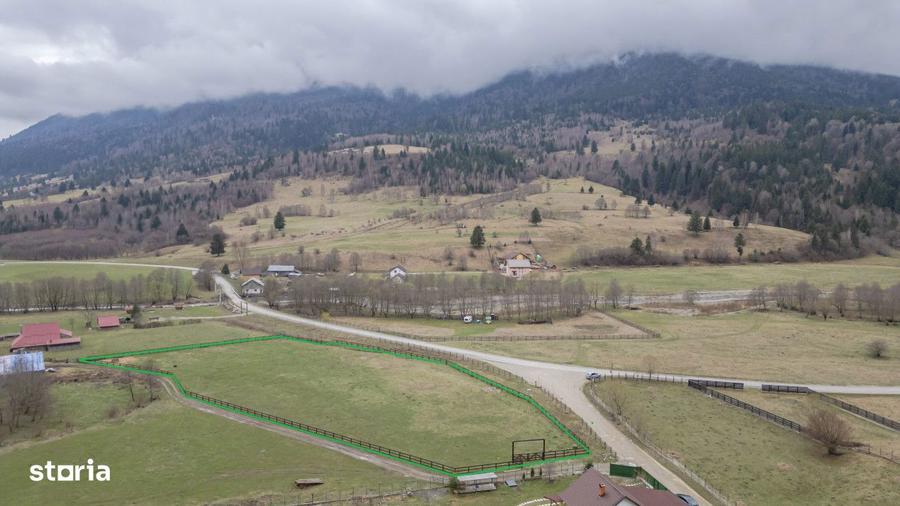 Teren de 6900 mp, în Plaiul Foii