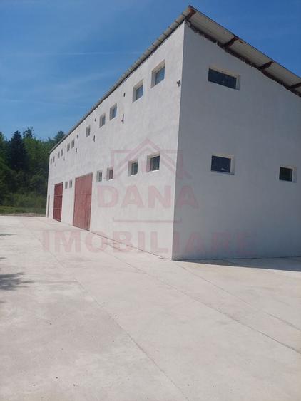 Spațiu industrial, de 150 mp, în Băuțar
