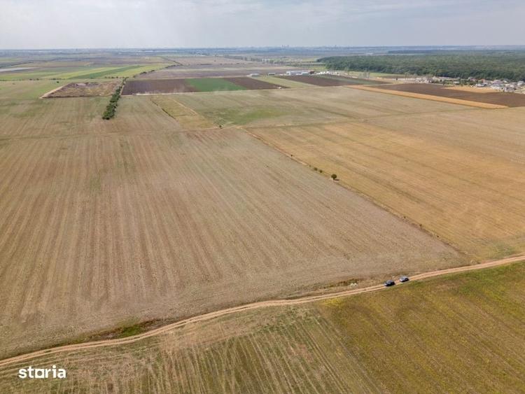 Dascalu - Teren Intravilan 7500 Mp, Investitie! - 4