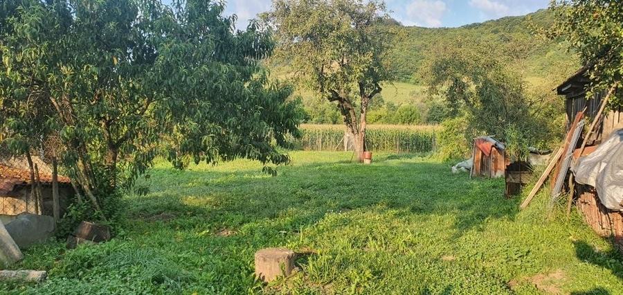 Casă cu 3 camere în Bord