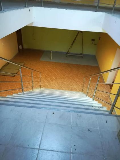 Theodor Pallady, vand vila, 2000 mp construiti, 1500 mp teren - 6