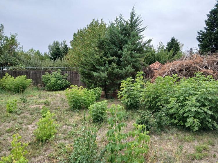 Teren de 500 mp, în Snagov