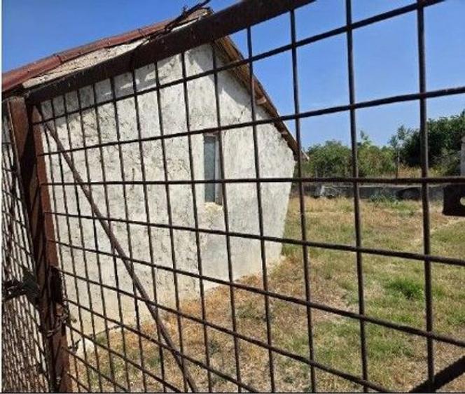 Casa si teren Vadu , ID: R2757056 - 17