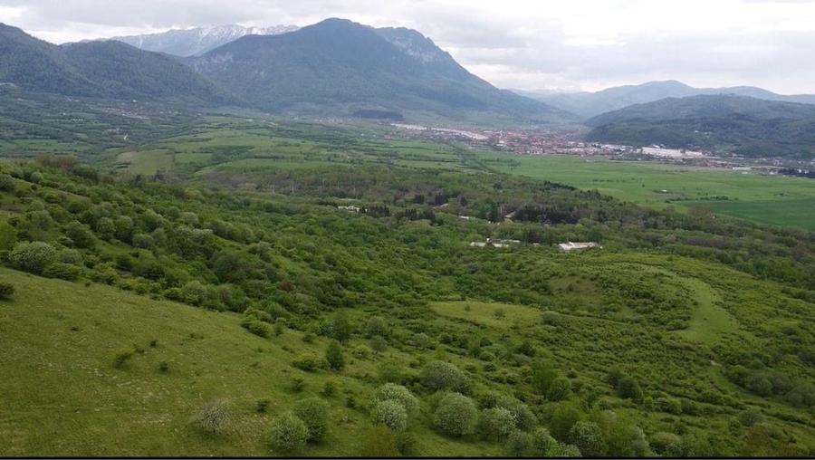 Spațiu comercial, în Tohanu Nou