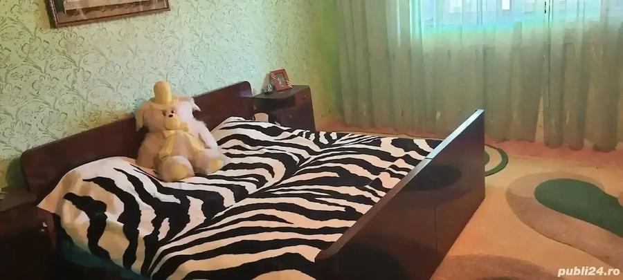 Casă în Vinga